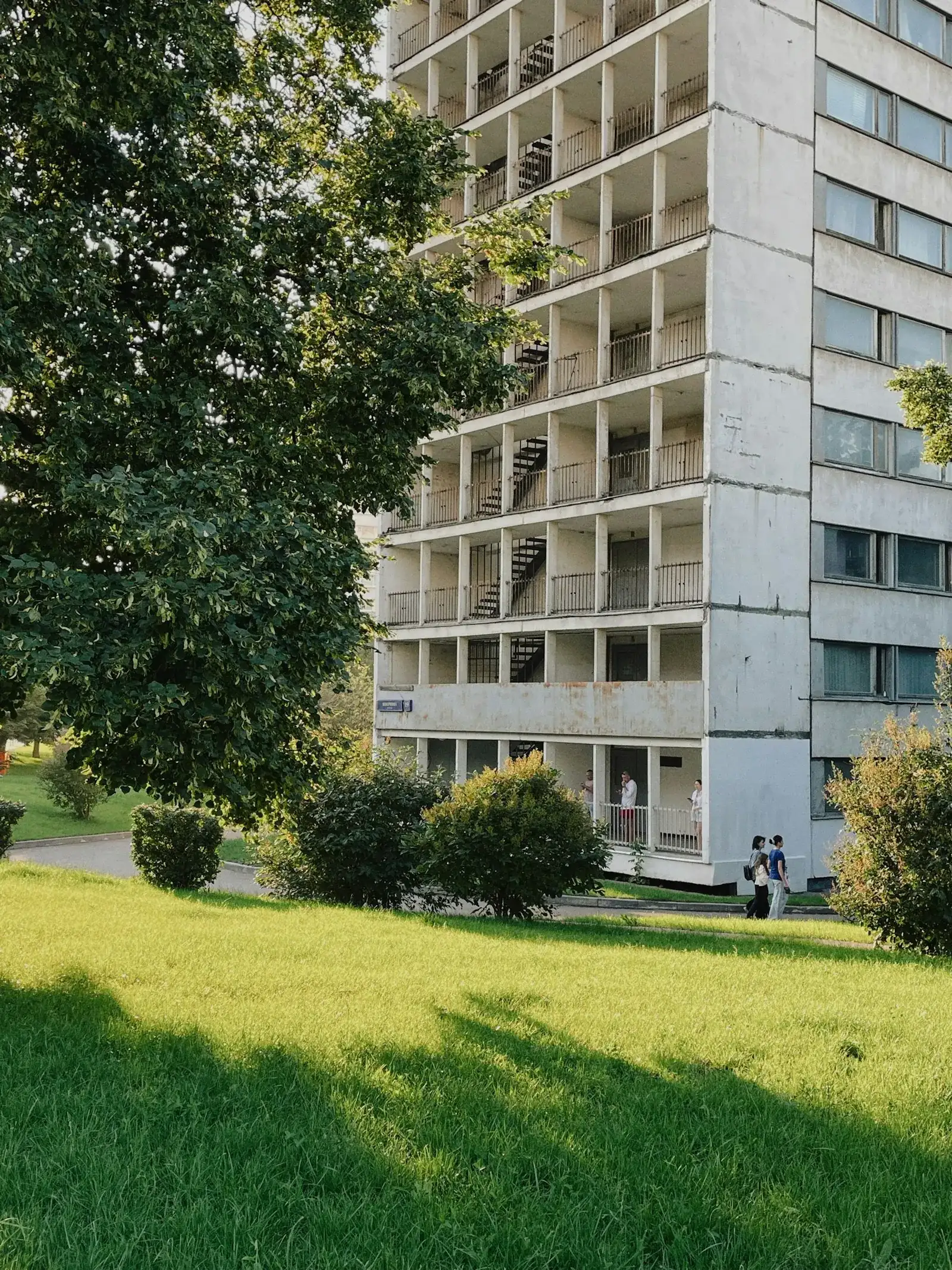 Heller Plattenbau mit umlaufenden Loggia-Balkonen an einem begrünten Hang, davor eine sonnige Wiese mit großem Laubbaum und Sträuchern – typisches Wohnbild für das Neubaugebiet Dresden-Gorbitz.