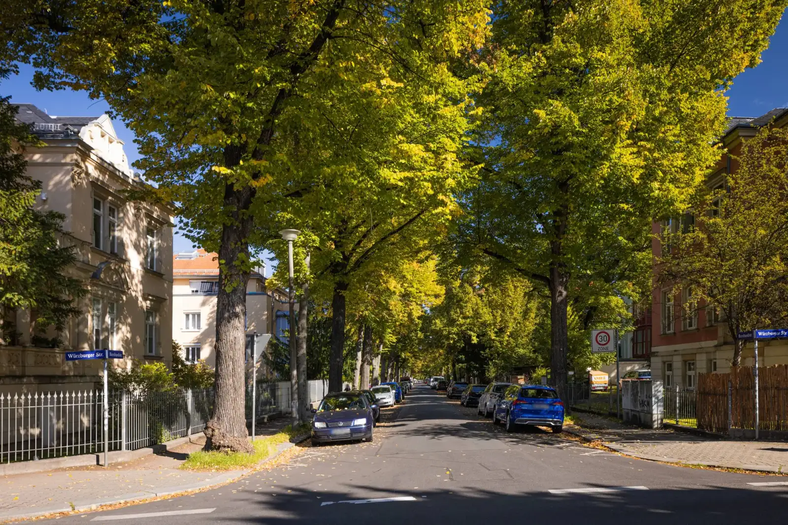 Die Bernhardstraße in Dresden-Plauen, gesäumt von hohen Straßenbäumen, mit Gründerzeitvillen hinter schmiedeeisernen Zäunen im sonnigen Herbstlicht.